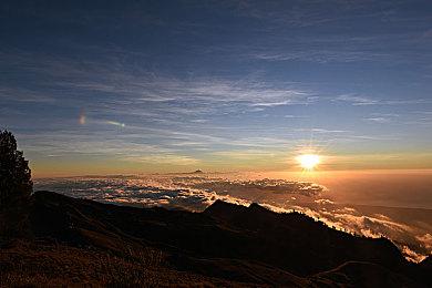 英雄联盟S12四强名单出炉 半决赛赛程公开